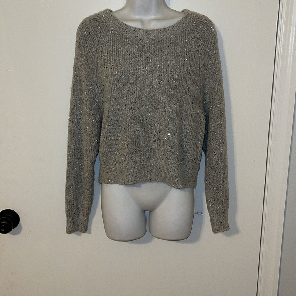 Express sweater super sparkly sequins